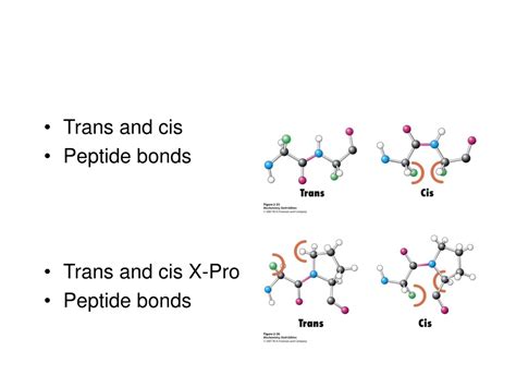 Ppt L And D Isomers Of Amino Acids Powerpoint Presentation Free Download Id 9630276