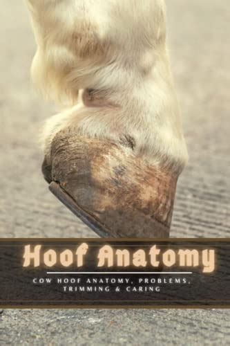 Hoof Anatomy: Cow Hoof Anatomy, Problems, Trimming & Caring by Bob ...