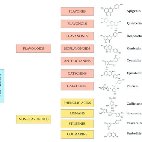 Phenolic Compound Scheme Classes Sub Classes And Molecular Structure