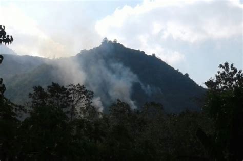 Hutan Wisata Gunung Guntur Di Garut Terbakar ANTARA News