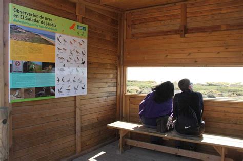 Nueva Carteler A En Los Observatorios De Aves Noticias Fuerteventura