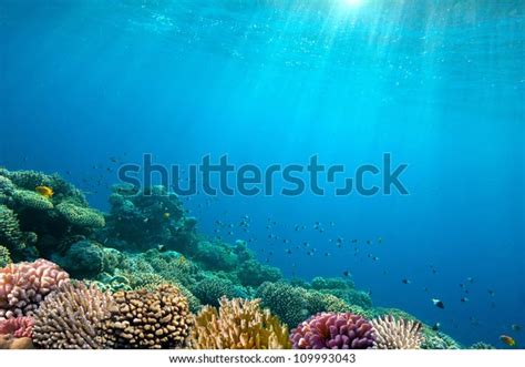 Ocean Underwater Background Image Stock Photo (Edit Now) 109993043