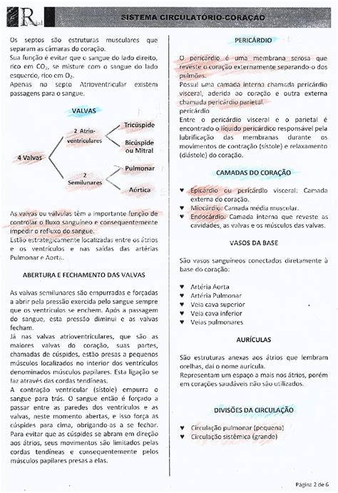 SOLUTION Sistema Cardiovascular Studypool