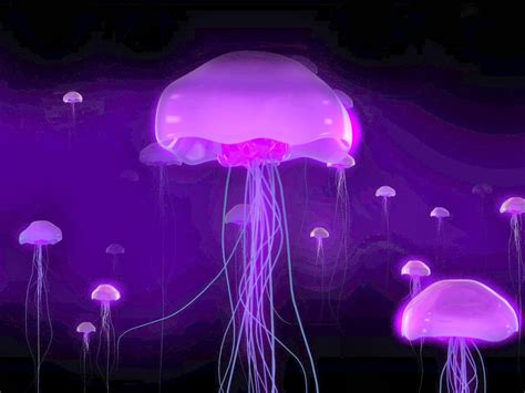 Animated Jellyfish Wallpaper - WallpaperSafari