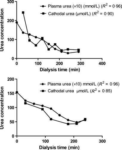 Decay Of Plasma Urea And Cathodal Urea With Time In Two Patients