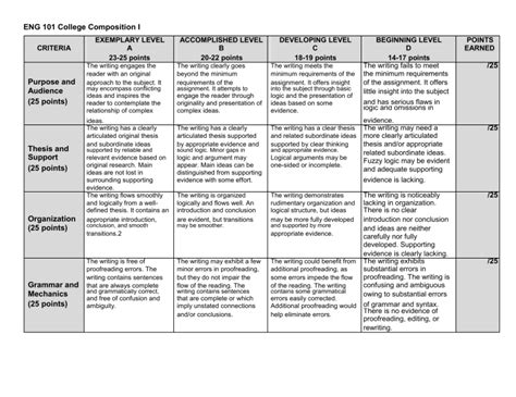 101 Essay Rubric