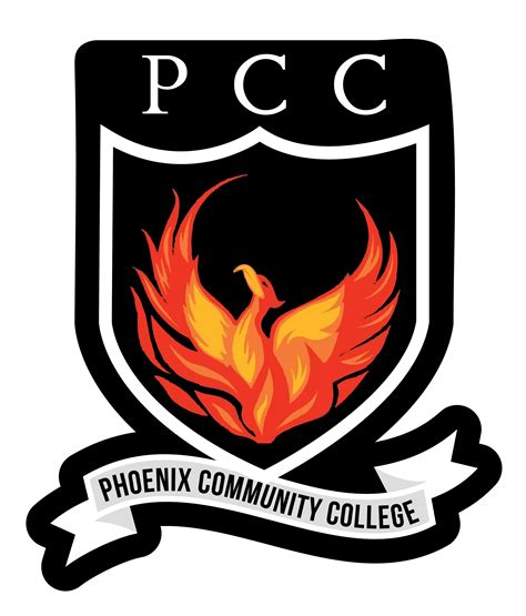 Understanding the community impact of carry on phoenix 9