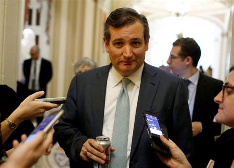 Its 911 Bro Internet Goes Wild After Senator Ted Cruzs Twitter