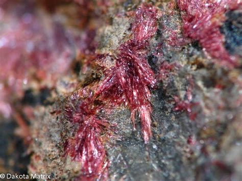 Erythrite Mineral Specimen For Sale