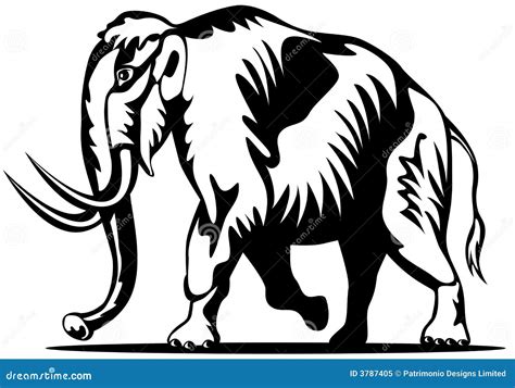 Woolly Mammoth Side Drawing Cartoon Vector | CartoonDealer.com #89031119