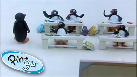 Pingu And Friends At School! @Pingu - Official Channel | 1 Hour ...