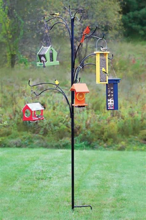 22bird Feeding Station Bird Feeding Station Backyard Birds Sanctuary