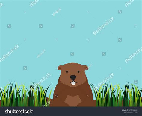 Blue Illustrated Groundhog Design Suitable Your Stock Illustration