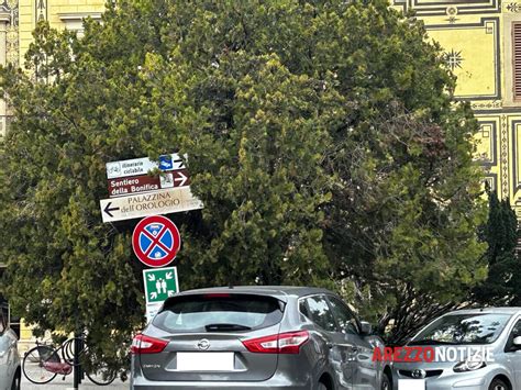 Sosta Selvaggia Al Colle Del Pionta Le Immagini All Interno Del Campus