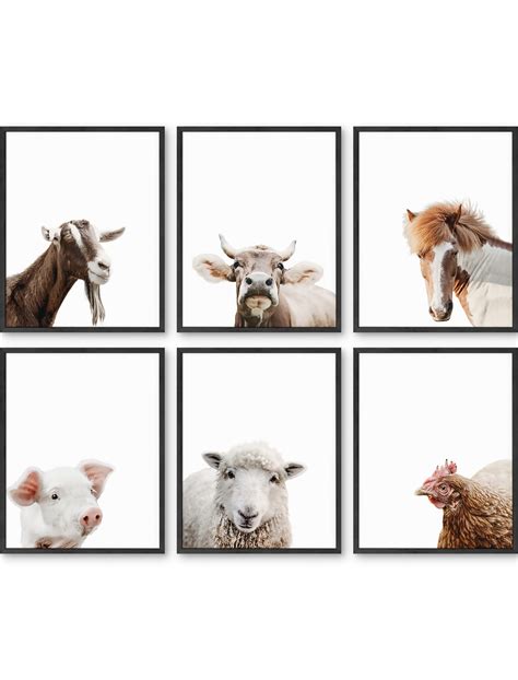 Farm Animal Portrait Set – Haus and Hues