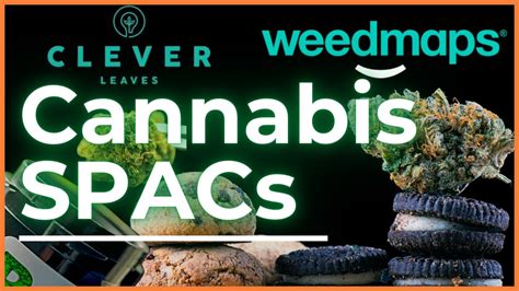 Top SPAC In Cannabis Weedmaps Clever Leaves SSPK SAMA YouTube