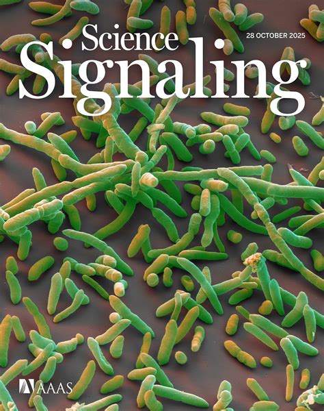 Science journals clarify how a scimens study actually works 2