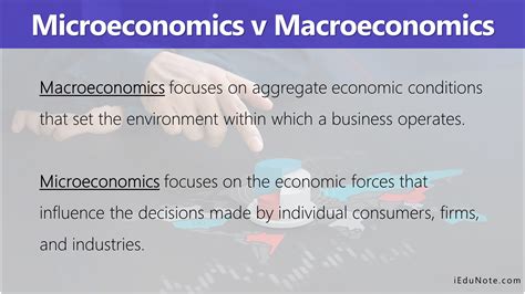 Microeconomics Definition Meaning Theories Assumptions