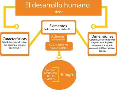 ¿qué Es El Desarrollo Humano Concepto Etapas Y Ejemplos