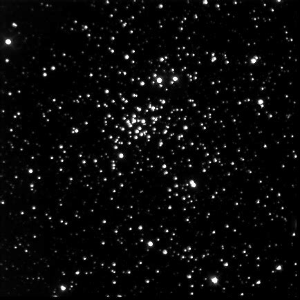 NGC 1907 Open Star Cluster