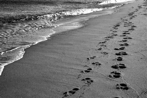 Huellas En La Playa Una Huella De Pies Humanos En La Arena Cerca Del