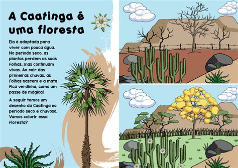 Cartaz Sobre A Caatinga - Desenhos Sobre A Caatinga - FDPLEARN