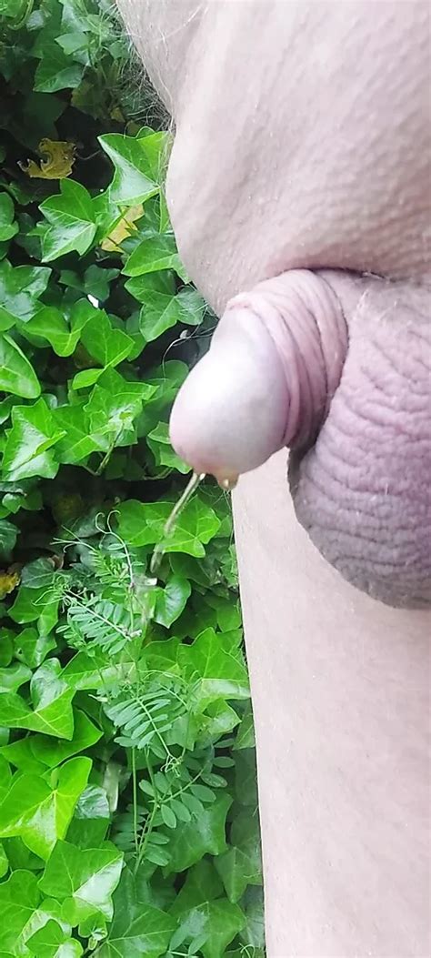 To Piss Or Not To Piss Gay Amateur Amateur Porn Feat Mattijs XHamster