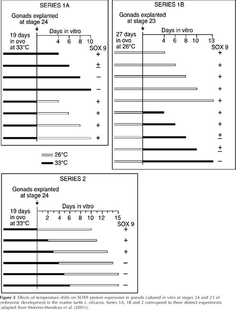 PDF Oestrogens And Temperature Dependent Sex Determination In