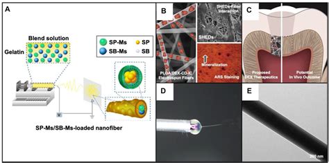 Fast Dissolving Oral Drug Delivery System Based On 53 Off