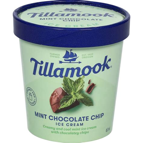 Tillamook Mint Choc Chip Ice Cream 457ml Woolworths