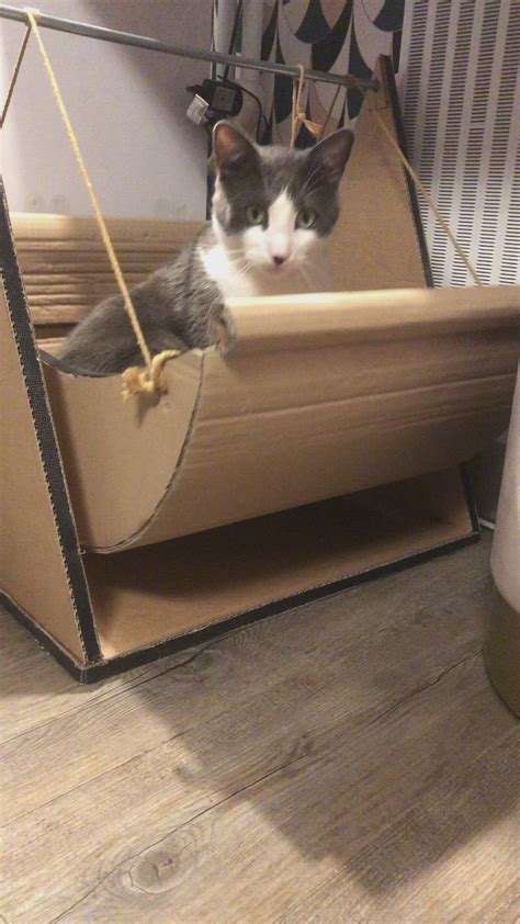 Pin De Nilce Yost Em Espaços Para Gatinhos Arranhador Para Gatos