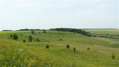 Презентація на тему : "Лісостеп"