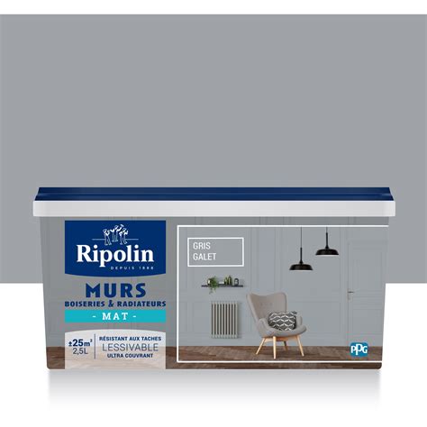 Peinture Mur Boiserie Radiateur RIPOLIN Gris Galet Mat 2 5 L