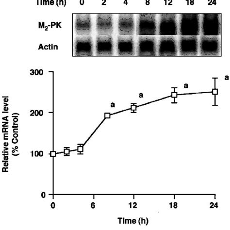 EŠect of Insulin on Promoter Activity of the Rat PKM Gene Download