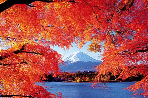 【全国】真っ赤な紅葉絶景スポット31選！幻想的な秋の景色に感動＜2021＞ ｜じゃらんニュース