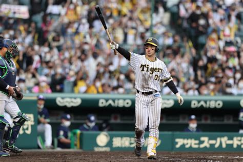 【スライドショー】阪神 こどもの日にサヨナラ勝ちをプレゼント プロ野球写真ニュース 日刊スポーツ