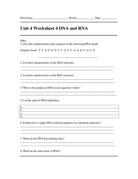 Dna Rna And Protein Worksheet