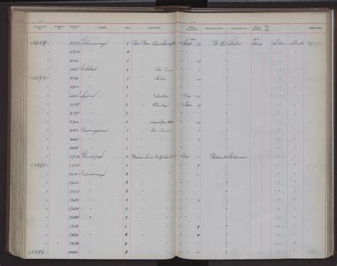 Peromyscus leucopus tornillo | Smithsonian Institution