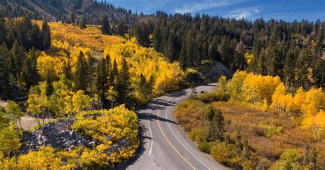 Here's Where You Can See Beautiful Fall Foliage In Lake Tahoe