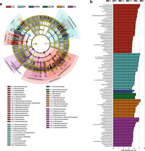 Linear Discriminant Analysis Lda Effect Size Lefse Results On Gut