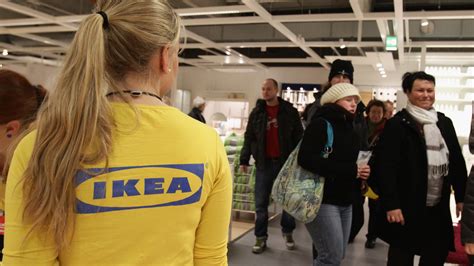 AZ IKEA ban forgalmazott rovarirtó anyaggal szennyezett kétszersültet