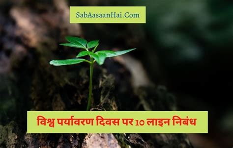 विश्व पर्यावरण दिवस पर 10 लाइन निबंध 10 Lines On World Environment Day In Hindi