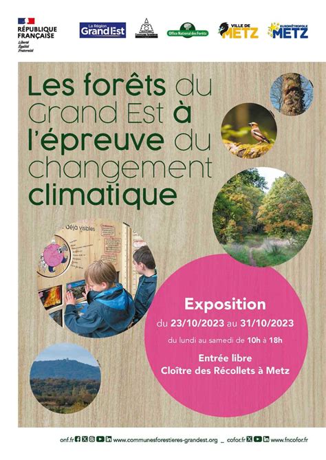 Les Forets Du Grand Est A L Epreuve Du Changement Climatique