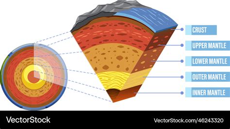 Diagram showing layers of the earth lithosphere Vector Image