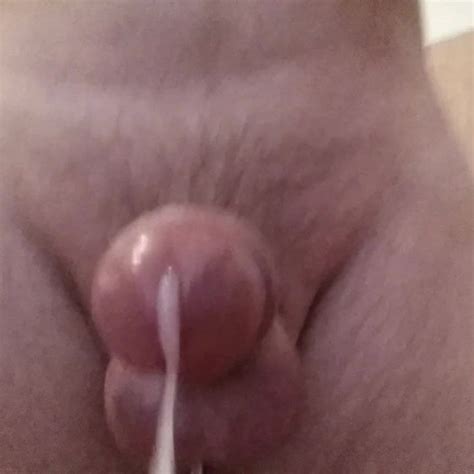Hands Free Cumshot Free Gay Cum Tribute HD Porn Video XHamster
