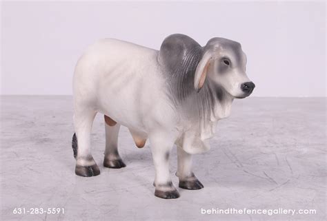 Mini White Brahman Bull Statue Mini White Brahman Bull Statue : Life ...