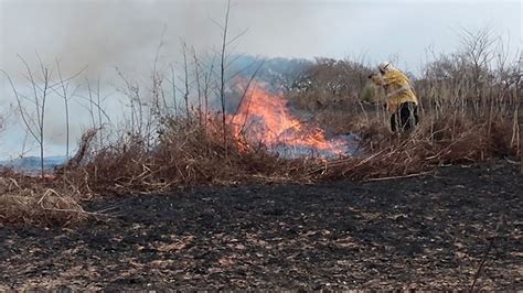 Incendios En El Delta El Fuego Arrasó 300 Mil Hectáreas Y Devastó