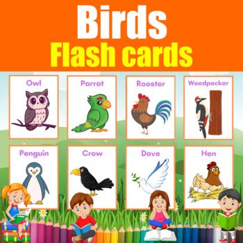 Bird Flash cards. 16 Printable Posters for kids & students to learn ...