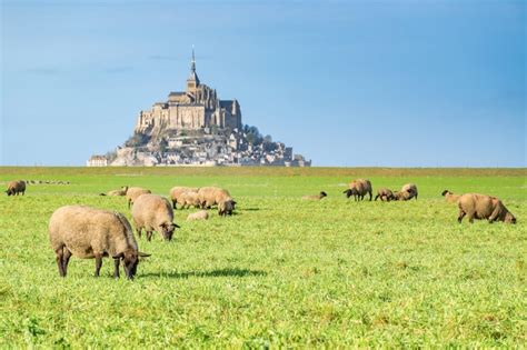 Visiter Le Mont Saint Michel Quoi Faire And Guide Pratique