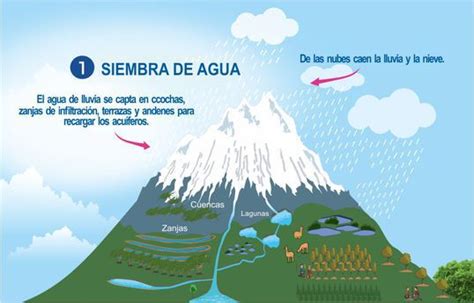 Qué es la siembra y cosecha de agua CooperAcción